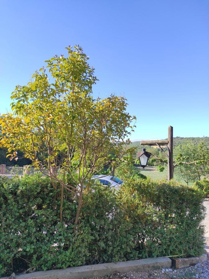 Allotjament Rural Solsona Exterior foto